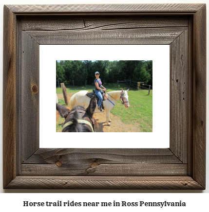 horse trail rides near me in Ross, Pennsylvania